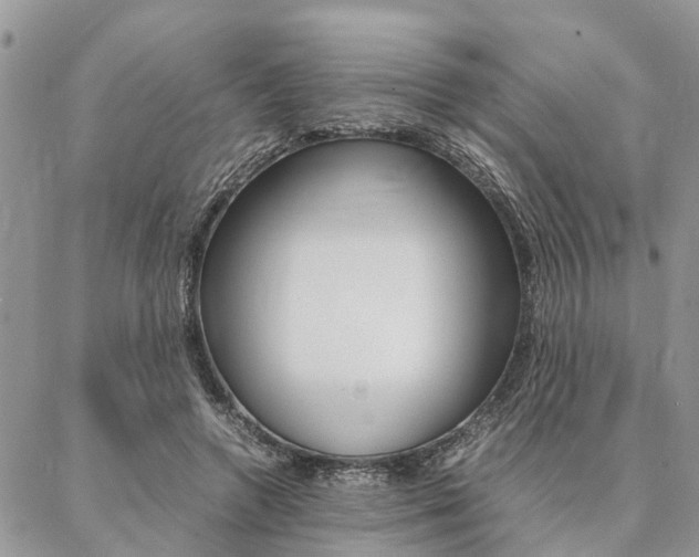 X0000087330546200704200723