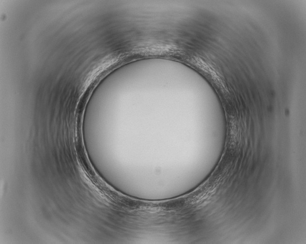 X0000087330582200704200722