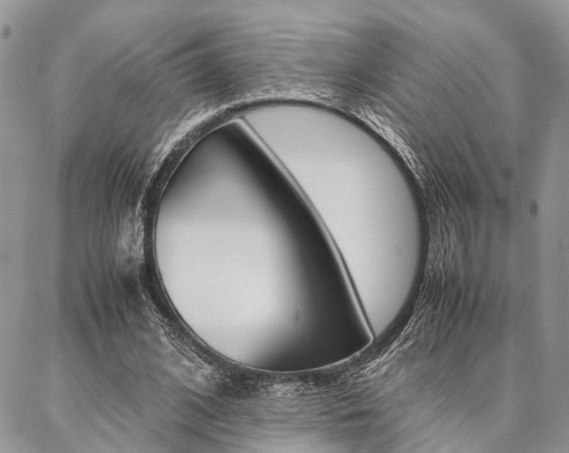 X0000087330584200704200722