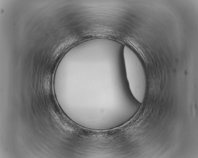 X0000087330586200704200722