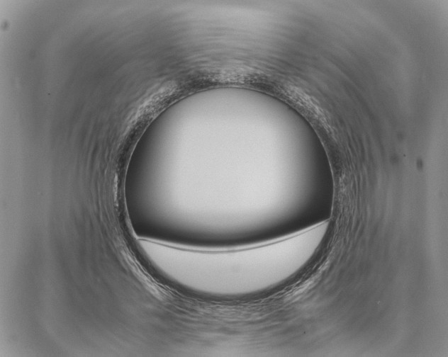 X0000087330589200704200722