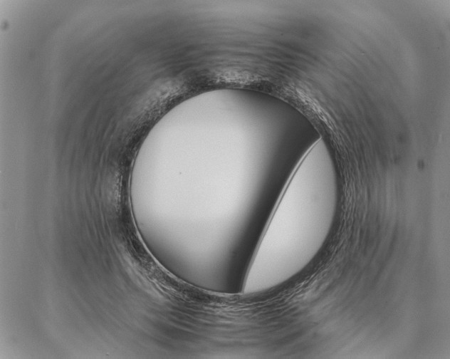 X0000087330639200704200721