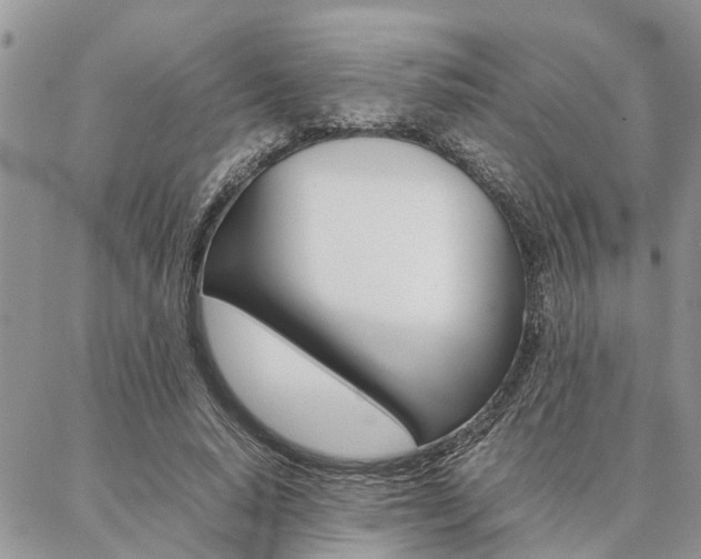 X0000087330640200704200721