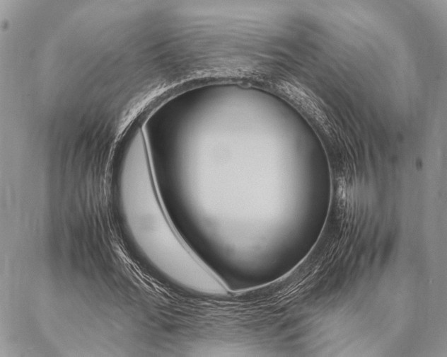 X0000087330676200704200721