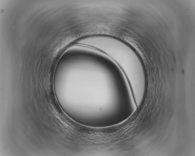 X0000087330677200704200721