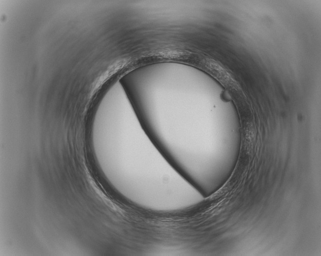 X0000087330734200704200720