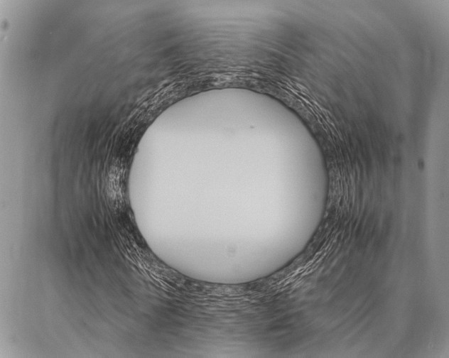X0000087330770200704200719