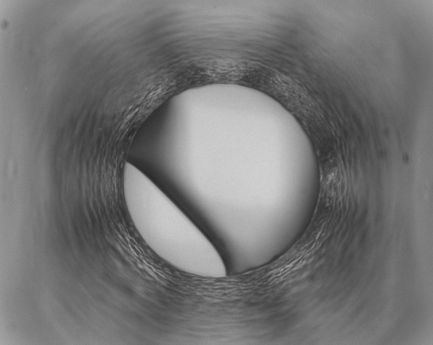 X0000087330772200704200719