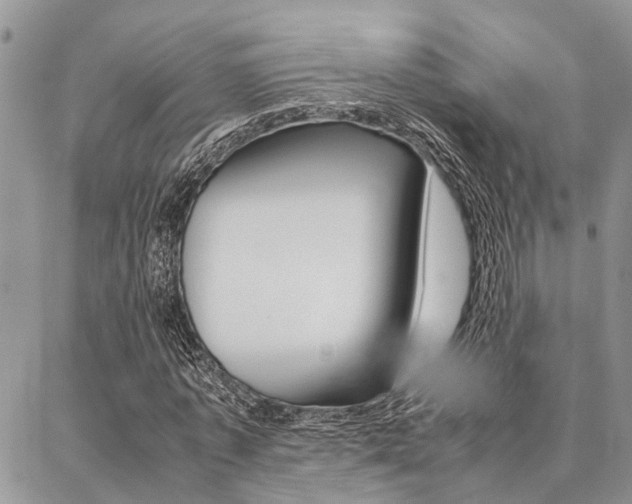 X0000087330773200704200719