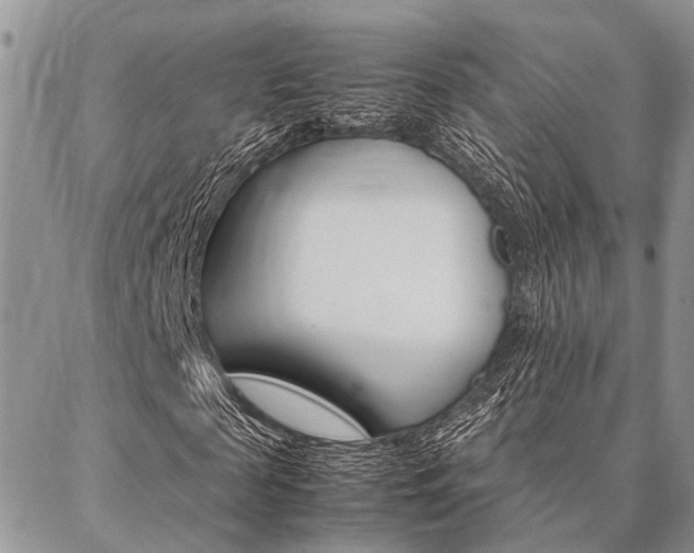 X0000087330817200704200718