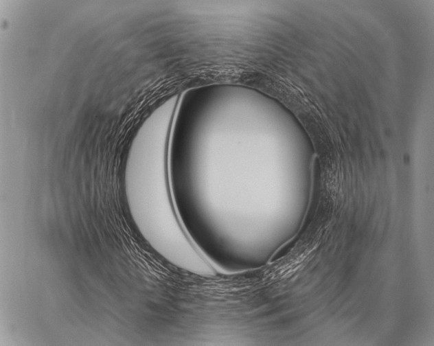 X0000087330818200704200718