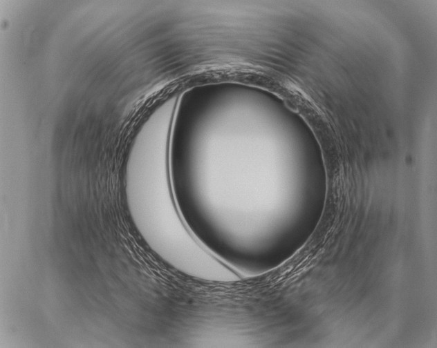X0000087330822200704200718