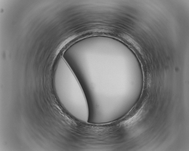 X0000087330829200704200718