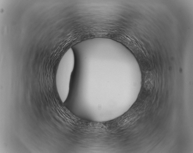 X0000087330866200704200718