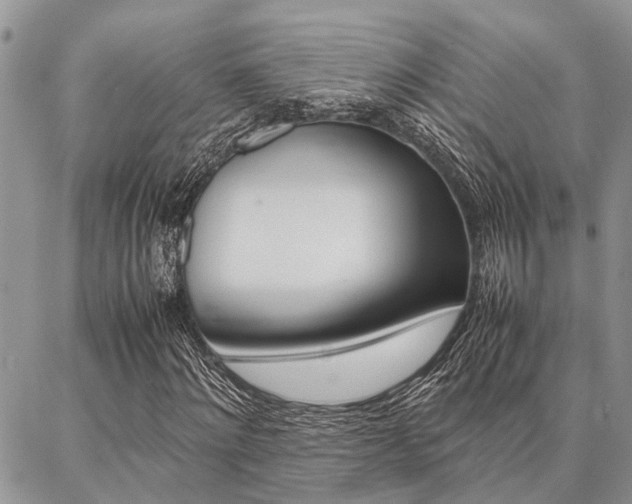 X0000087330868200704200718