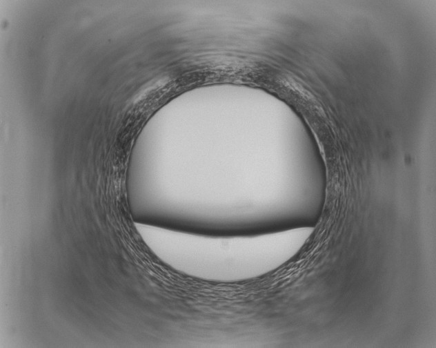 X0000087330869200704200718