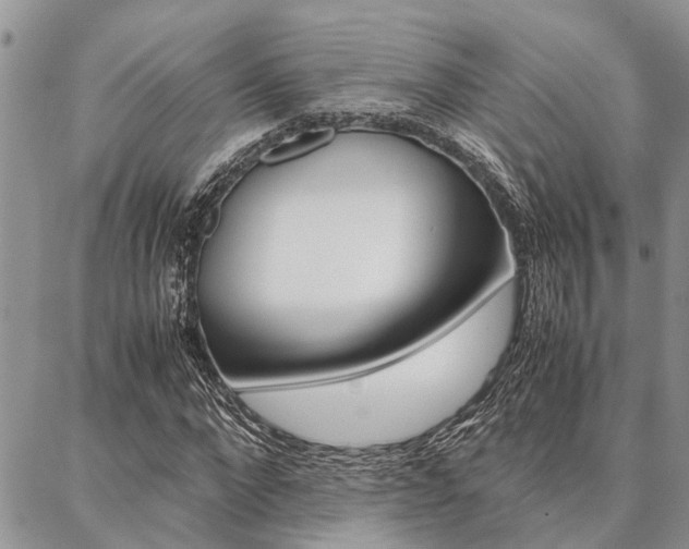 X0000087330872200704200718