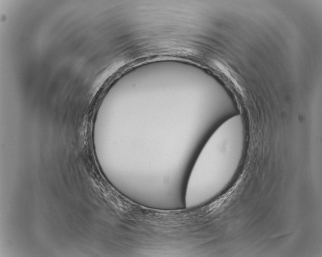 X0000087330875200704200718