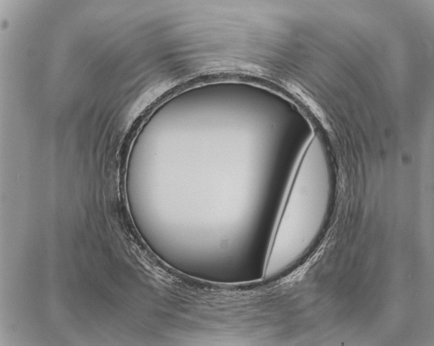 X0000087330877200704200718