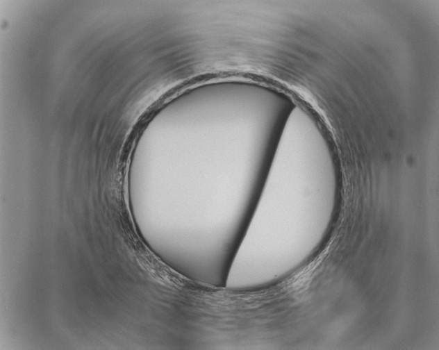 X0000087330879200704200718