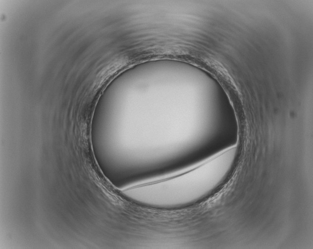 X0000087330881200704200718
