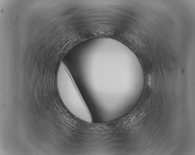 X0000087330915200704200716