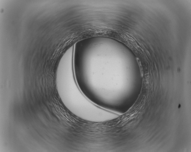 X0000087330916200704200716