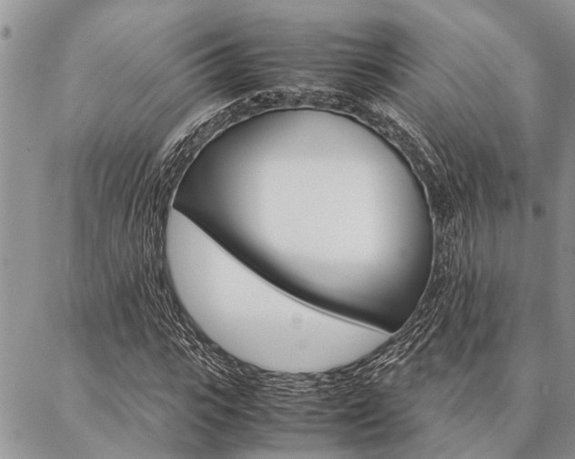 X0000087330919200704200716