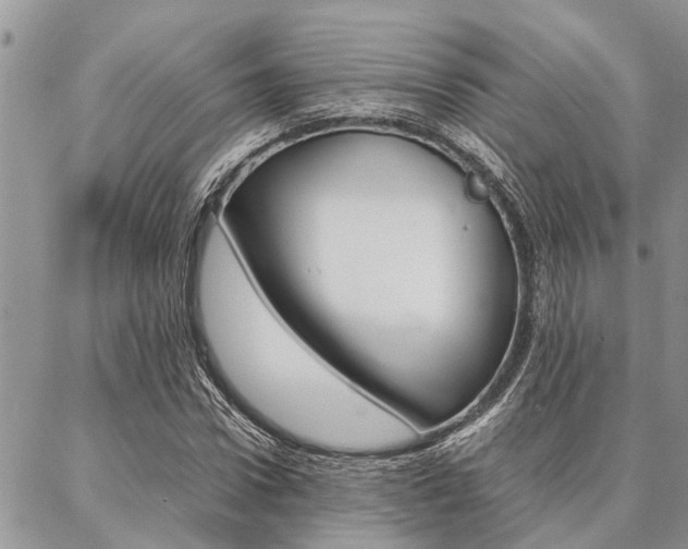 X0000087330922200704200716