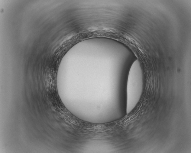 X0000087330966200704200716