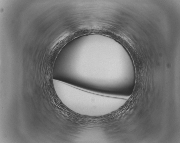 X0000087330967200704200716