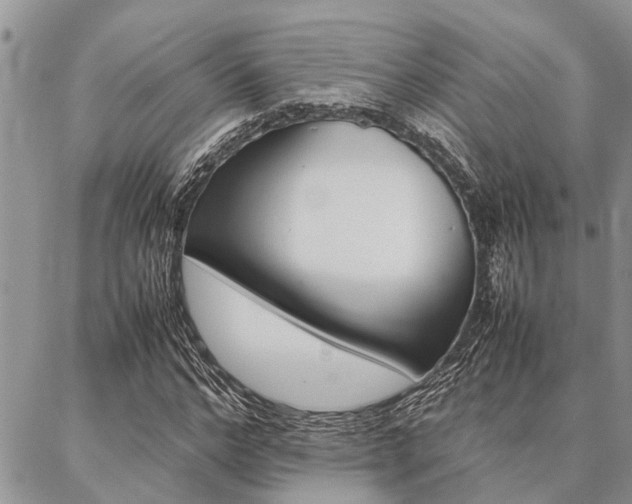 X0000087330968200704200716