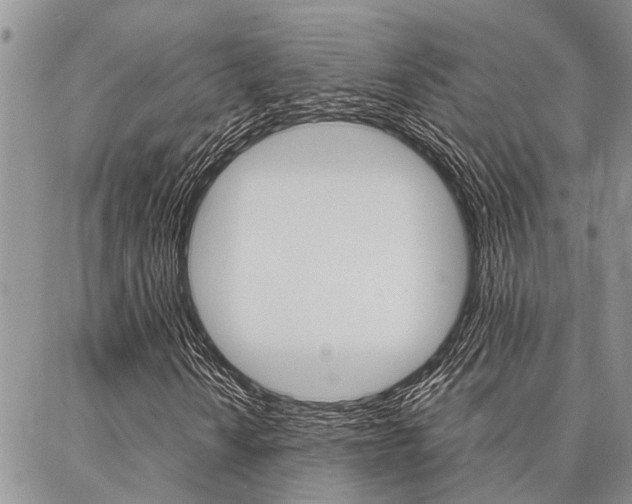X0000087331010200704200715