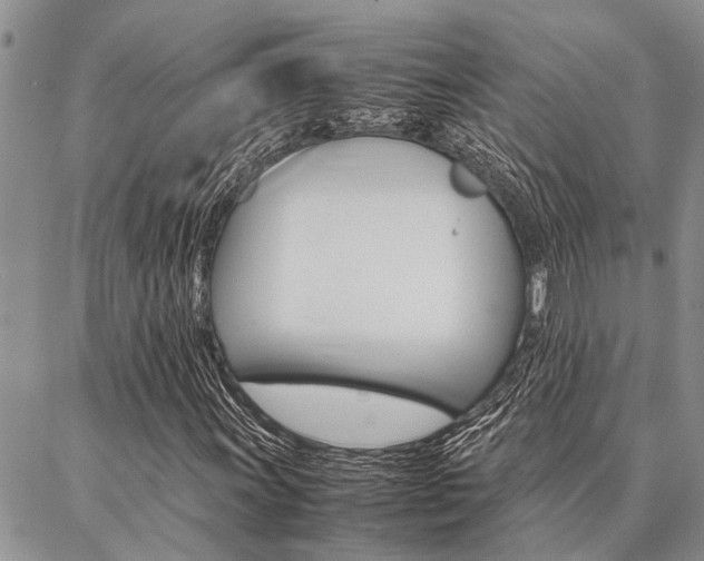 X0000087331011200704200715