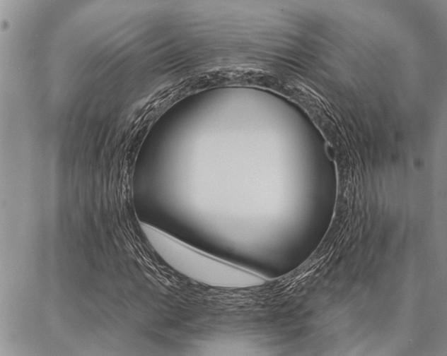 X0000087331014200704200715