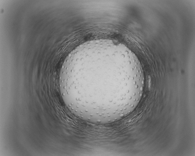 X0000087331059200704200715