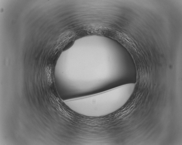 X0000087331060200704200715
