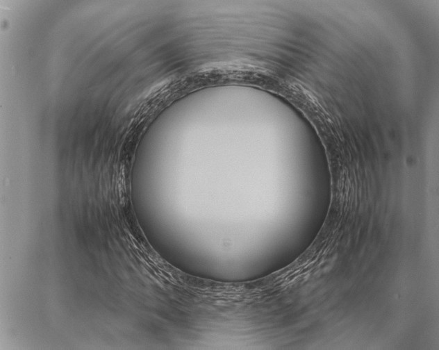 X0000087331062200704200715