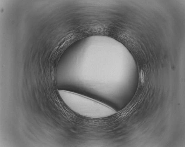 X0000087331107200704200713