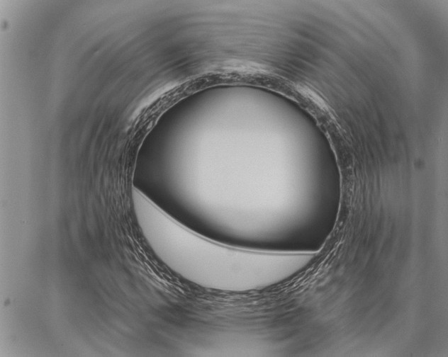 X0000087331112200704200713