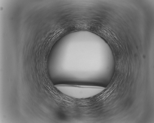 X0000087331201200704200712