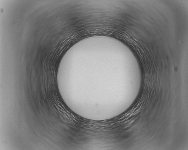 X0000087331202200704200712