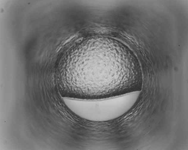 X0000087331205200704200712