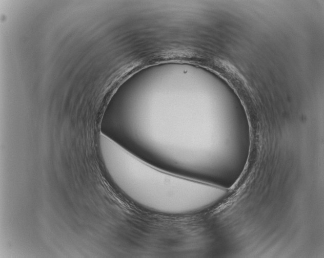 X0000087331217200704200712