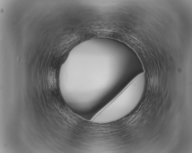 X0000087331252200704200712