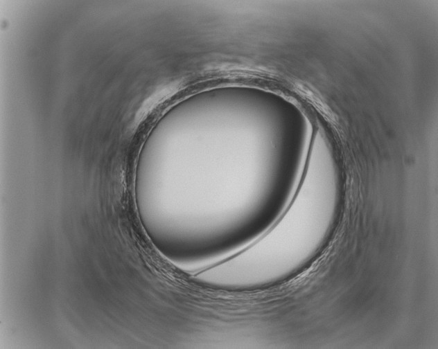 X0000087331261200704200711