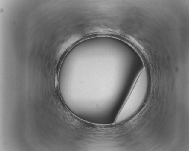 X0000087331269200704200711