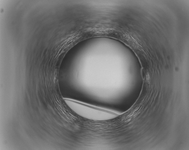 X0000087331300200704200710