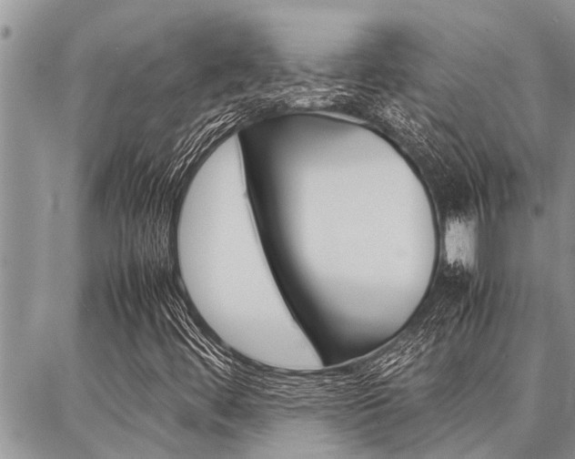 X0000087331444200704200708