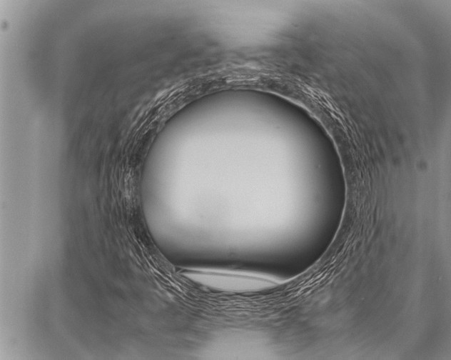 X0000087331445200704200708